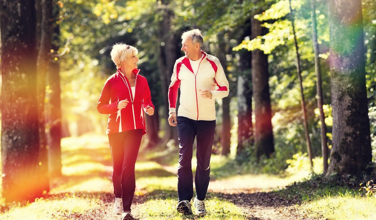 Zwei Senioren joggen im Wald und halten sich fit